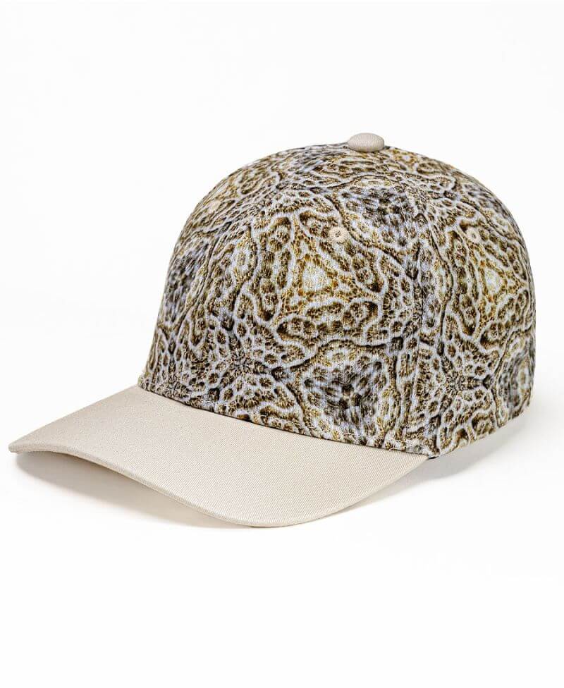 Diploria printed baseball cap