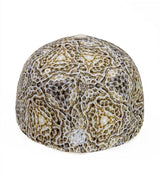 Diploria printed baseball cap