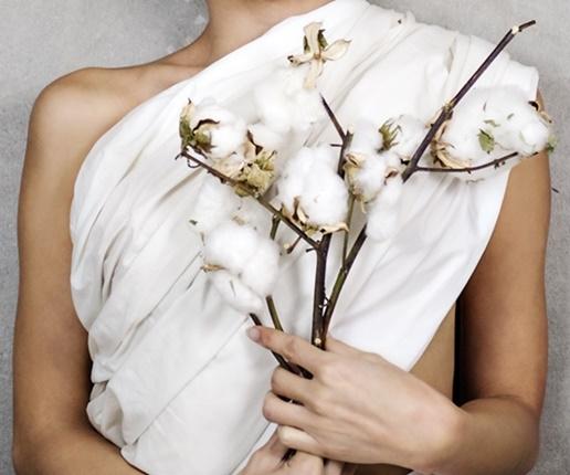 Panic For Organic Cotton - Tantrika Clothing