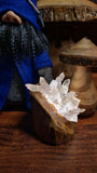 Olivia - Clear Quartz Crystal Lamp