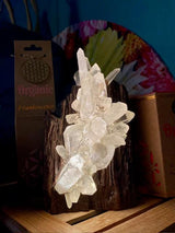 Serenity Clear Quartz Lamp Tantrika Australia