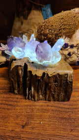 amalie clear quartz and amethyst crystal lamp