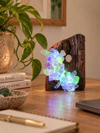 Amanita Crystal Lamp with Flourite and Amethyst crystals for colourful home lighting