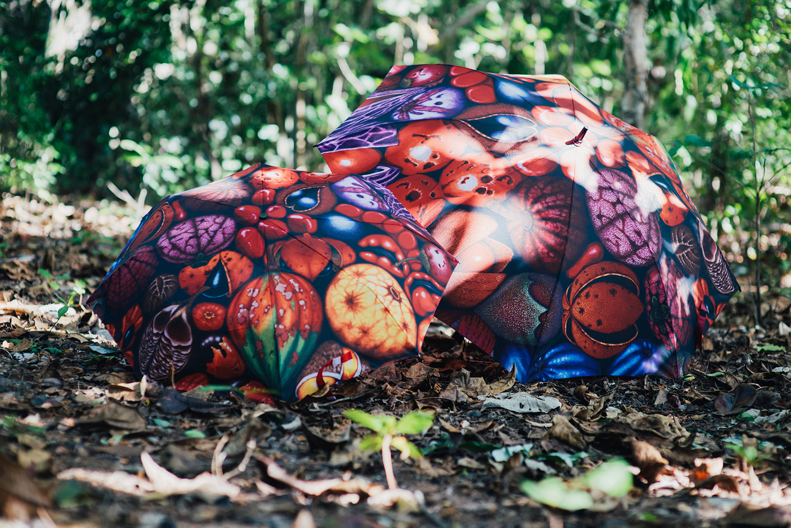 david stacey tropical seeds panting printed on umbrella