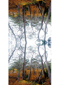fagus trees printed with a mirror image
