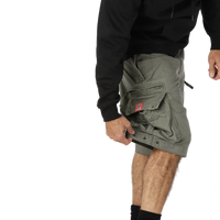 molecule mens cargo shorts