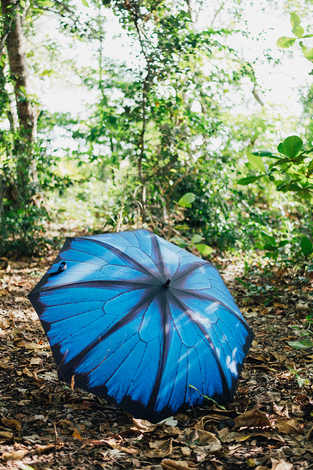 ulysses wing umbrella 