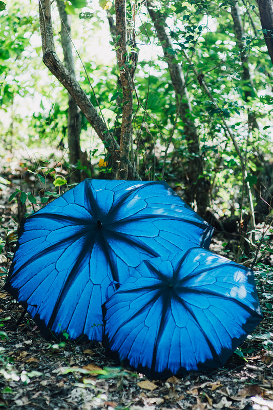 ulysses wing umbrella 